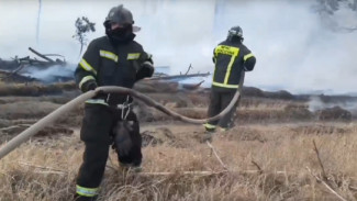 Пожар в селе Ямное под Воронежем локализовали на площади порядка 10 га