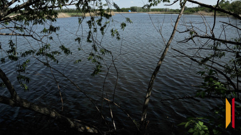 В Воронежской области 33-летний мужчина утонул в реке Дон 11 августа