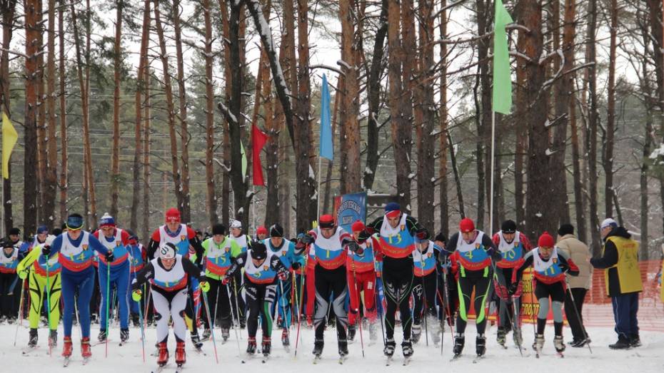 Борисоглебцы поучаствуют во всероссийской лыжной гонке «Лыжня России – 2019»
