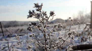 Синоптики изменили прогноз погоды в Воронеже: идет похолодание