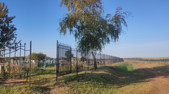 В грибановском селе Васильевка активисты заменили изгородь на кладбище