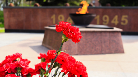 «Бессмертный полк онлайн»: технологии Сбера помогут сохранить память о героях Великой Победы