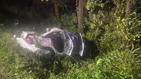 В Воронежской области Ford съехал в кювет и врезался в дерево: погиб 38-летний мужчина