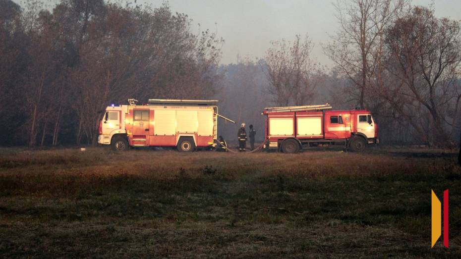 В Воронежской области завершился пожароопасный сезон
