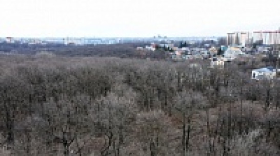 Воронежские власти выступили против застройки  участка рядом с парком «Динамо»