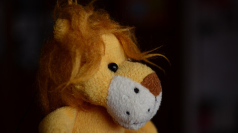 Продававшая вещи в парке «Танаис» в Воронеже бабушка разделала игрушечного львенка огромным ножом на глазах у детей