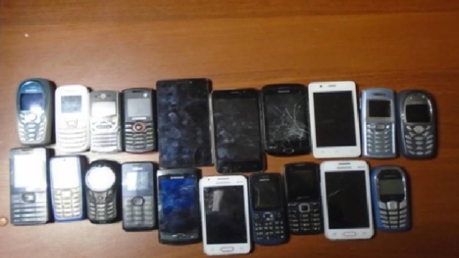 В 2 воронежских колониях за день пресекли нелегальную передачу 35 мобильных телефонов