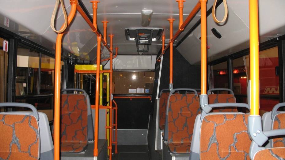 Автоинспекторы догнали уехавший без водителя автобус Воронеж - Тбилиси