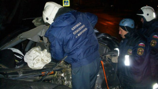 В Воронеже у Адмиралтейки Nissan врезался в дерево: погиб пассажир