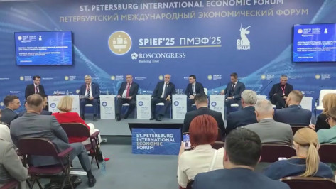 Воронежский губернатор рассказал о внедрении в регионе ЭКГ-рейтинга на секции ПМЭФ-2025