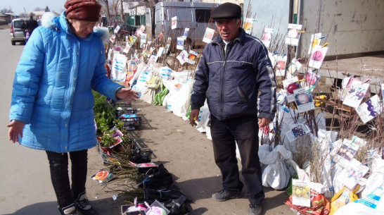 В Верхнемамонском районе прошла большая весенняя ярмарка садовых культур