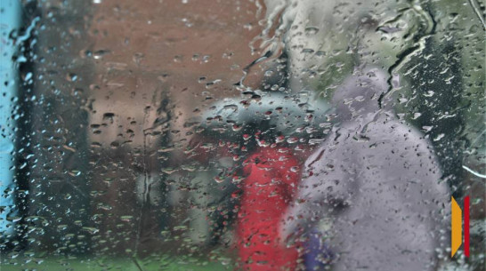 Воронежцев ждет дождливая и облачная рабочая неделя