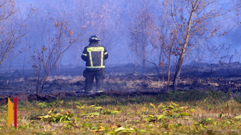 В Воронежской области отменили особый противопожарный режим