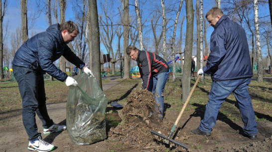 На общегородской субботник мэрия привлечет 50 тыс воронежцев 