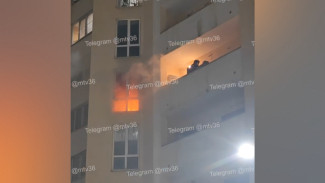 Вечером 3 октября в Воронеже на улице Моисеева загорелась квартира в многоэтажке: видео