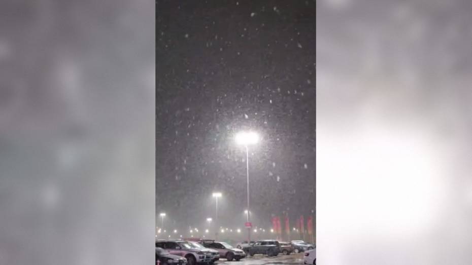 Первый снег в Воронеже сняли на видео