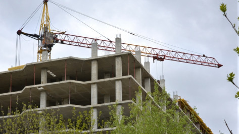 В Воронеже приостановили работу опасного грузового крана