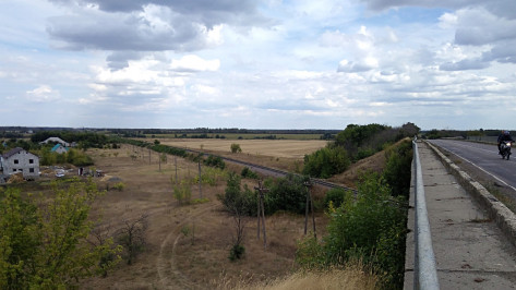 Ночью в Воронежской области товарный поезд сбил насмерть 12-летнюю девочку
