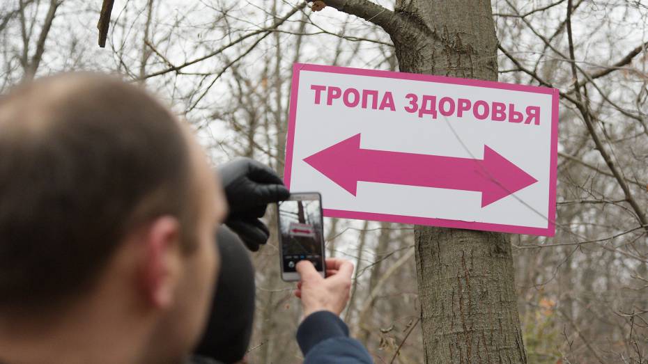 Воронежская область не вошла в число регионов-лидеров по приверженности ЗОЖ