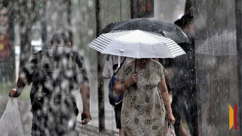 Синоптики рассказали, сколько осадков выпало в Воронеже за выходные