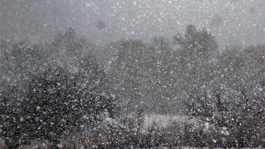 О возвращении метелей и снежных заносов предупредили воронежцев