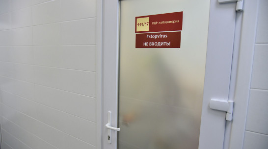 За время пандемии ковид диагностировали у 76 тыс воронежцев