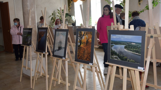 В Рамони открылась выставка «Край Воронежский — край Петра I»