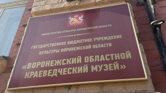 Воронежский музей завершил бережливый проект и стал удобнее для семейной аудитории
