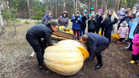 Воронежский зоопарк раздал семена гигантской 308-килограммовой тыквы