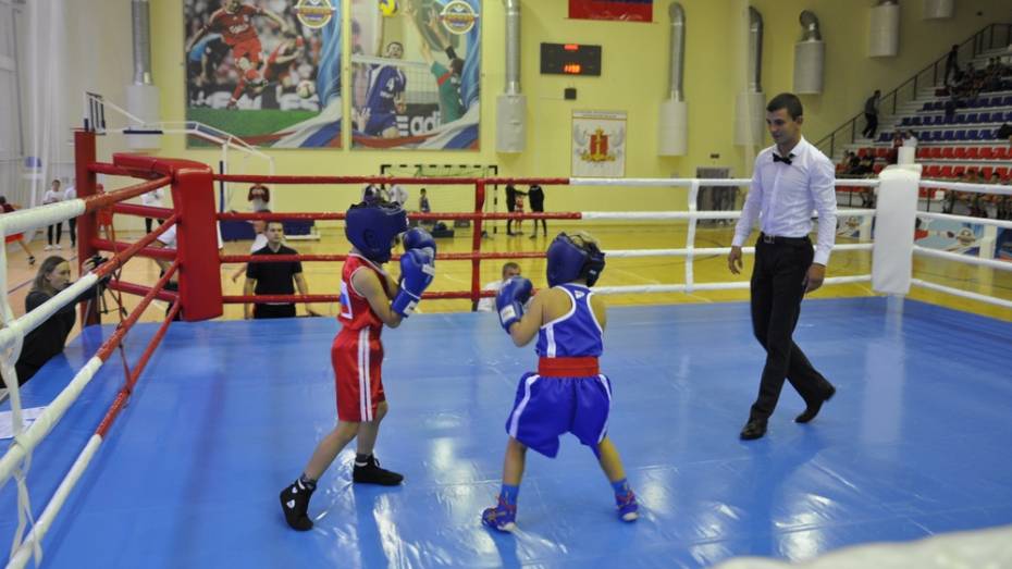 В Павловске проведут областной турнир по боксу «Основатель»