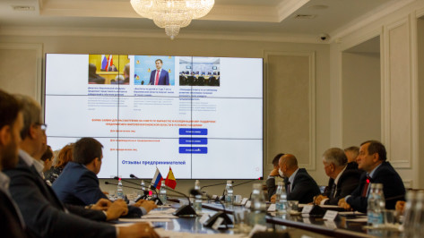 Депутаты Воронежской областной Думы обсудили меры поддержки бизнеса во время пандемии
