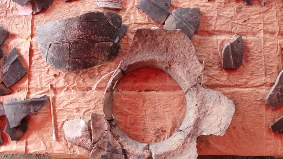 Археологи обнаружили фрагменты сосудов бронзового века в Воронежской области