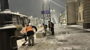 В ночь на 25 февраля с улиц Воронежа вывезли 4,8 тыс кубометров снега