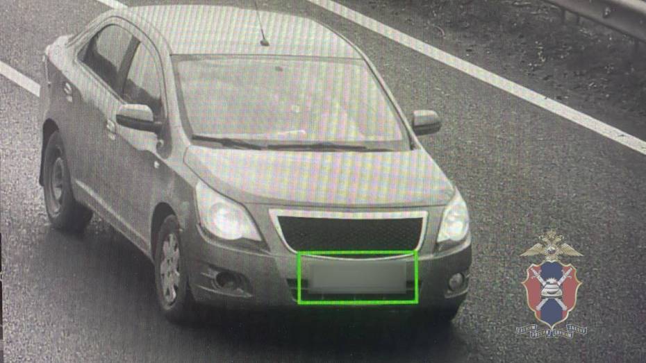 Воронежская автоледи накопила 46 неоплаченных штрафов на 75 тыс рублей