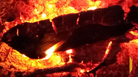 В Терновке случился третий пожар на одной улице за 2 недели