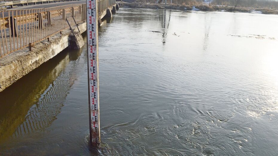 Под Рамонью вода в реке Воронеж поднялась на 40 см