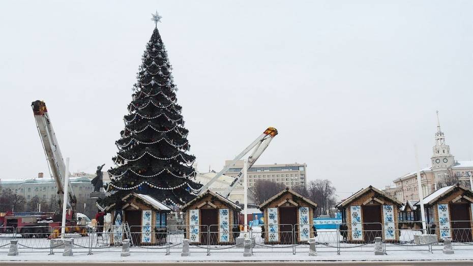 В Воронеже приступили к демонтажу главной городской елки