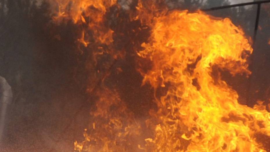 В Воронежской области на пожаре пострадала 5-летняя девочка