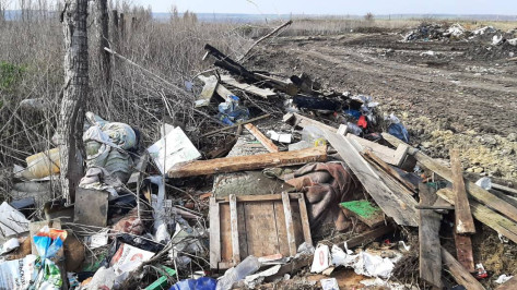 Семь незаконных свалок обнаружили на территории 5 районов Воронежской области