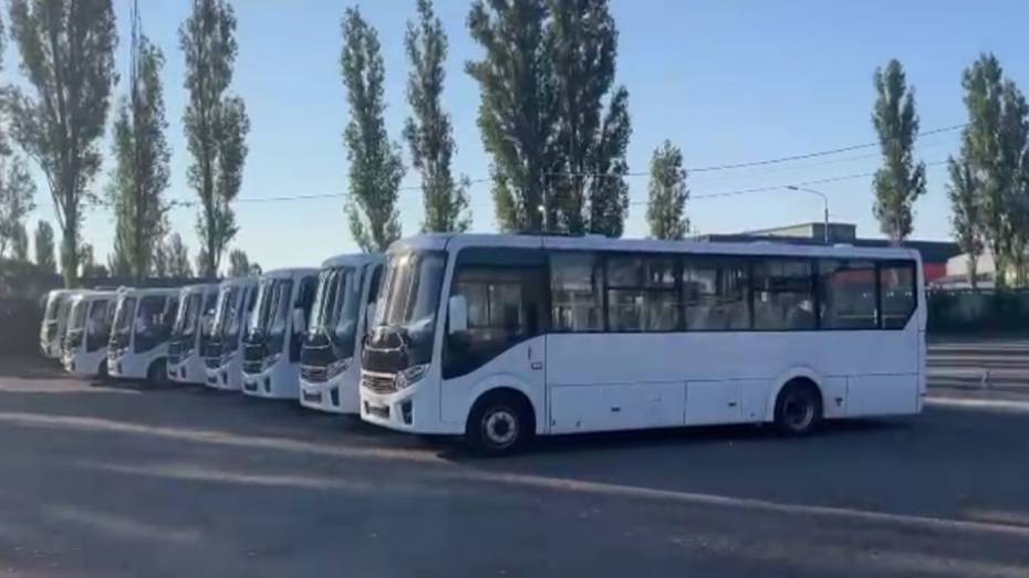 В Воронеж прибыли еще 20 новых ПАЗов для работы на двух городских маршрутах