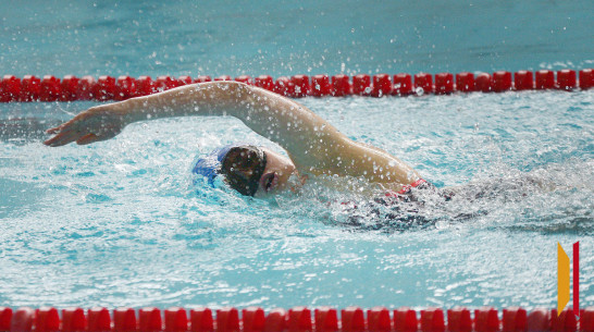 Звание «Мастер спорта РФ» присвоили 14 жителям Воронежской области