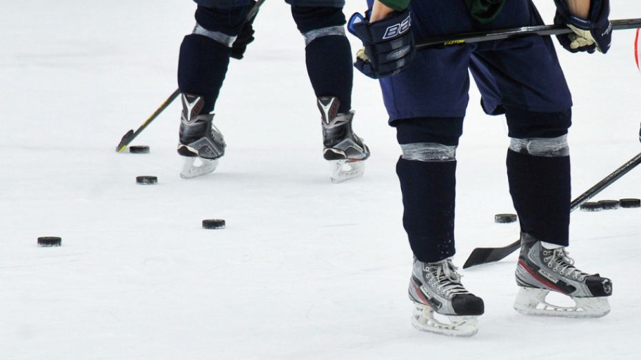 Хоккейный «Бобров» выиграл первый матч в НМХЛ