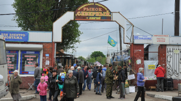 Воронежский птичий рынок переедет на проспект Патриотов