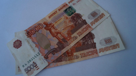 Воронежские многодетные семьи автоматически получат выплату в 5 тыс на ребенка