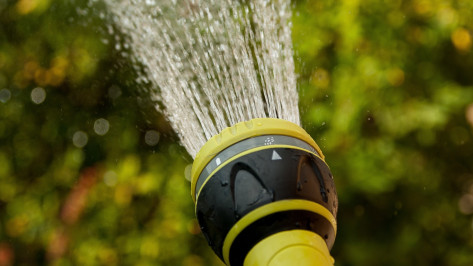 Как в жару в Воронеже спасают газоны