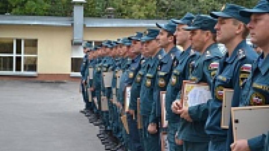 Воронежские пожарные получили премию за тушение леса и торфа в Тверской области