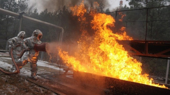 Губернатор и председатель облдумы поздравили воронежских спасателей
