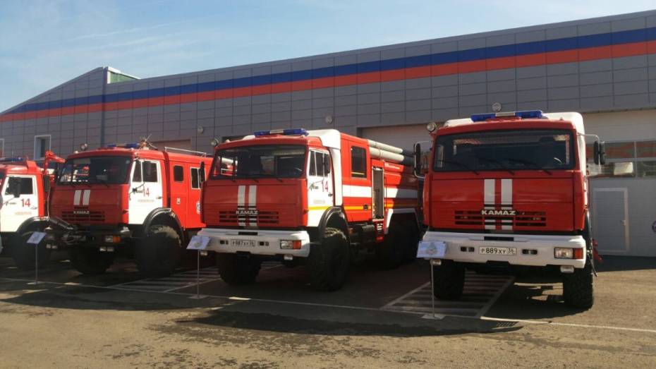 Воронежских спасателей и лесных пожарных объединит одна радиочастота