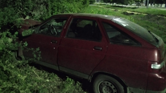 В Воронежской области пьяная женщина врезалась в дерево: пострадал ребенок