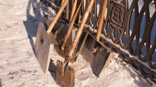 Дефицит дворников в воронежских управляющих компаниях составил 30%